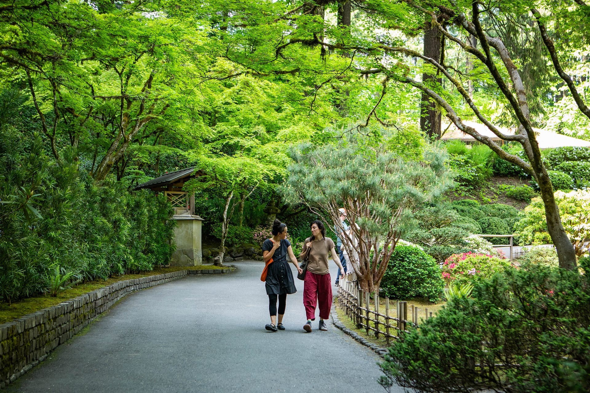 A wide shot of people walking down a path in a garden.