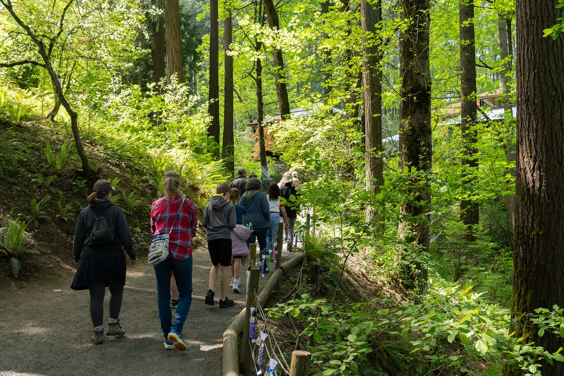 tall trees alongside a switchback trail with people walking