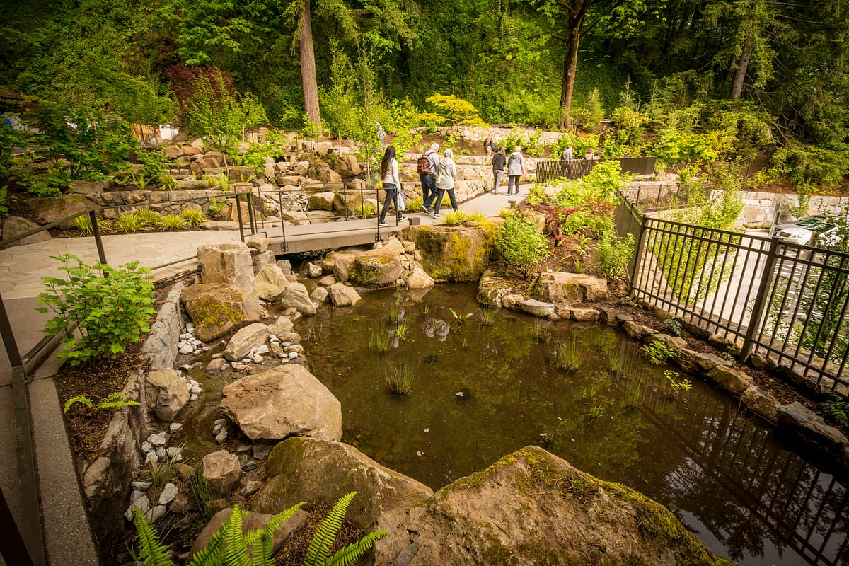 20170518_JapaneseGarden - 170518 - _DSC6436