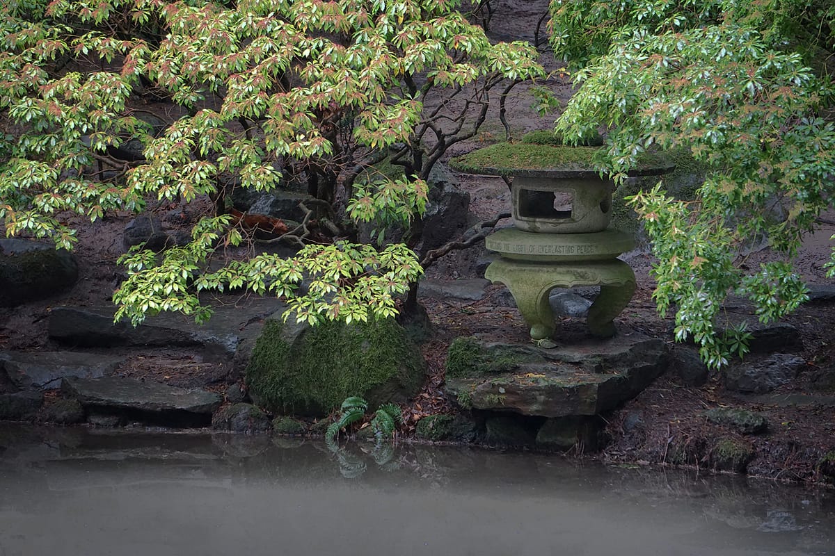 Peace Lantern. Photo by Tyler Quinn (websize)