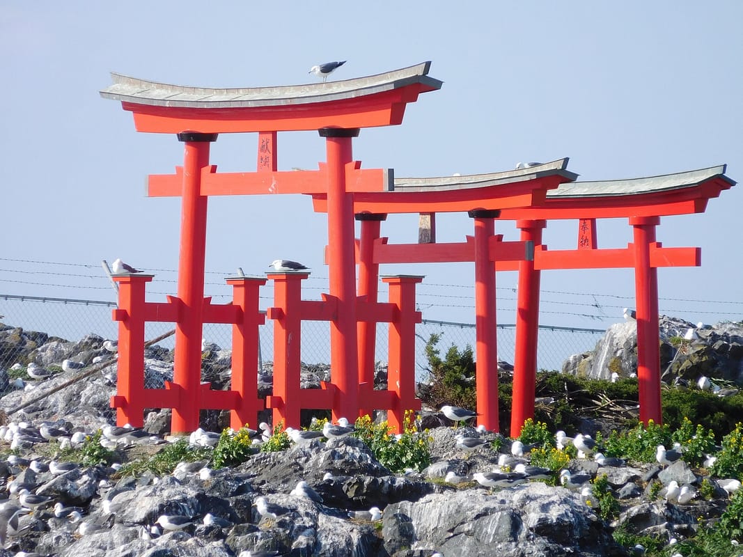 05.02.2016 Torii at Okuki Bay, Hachinohe