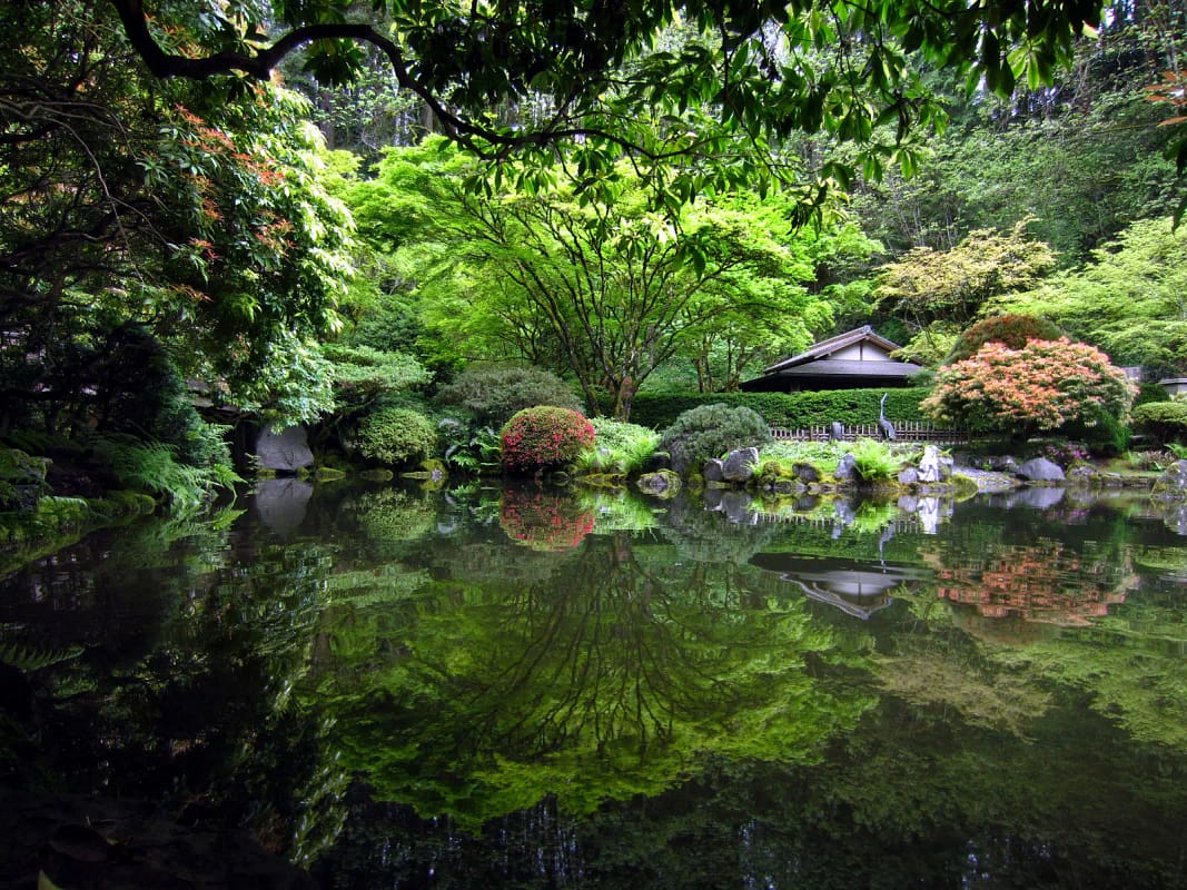 Tea House and Upper Pond - Drewry