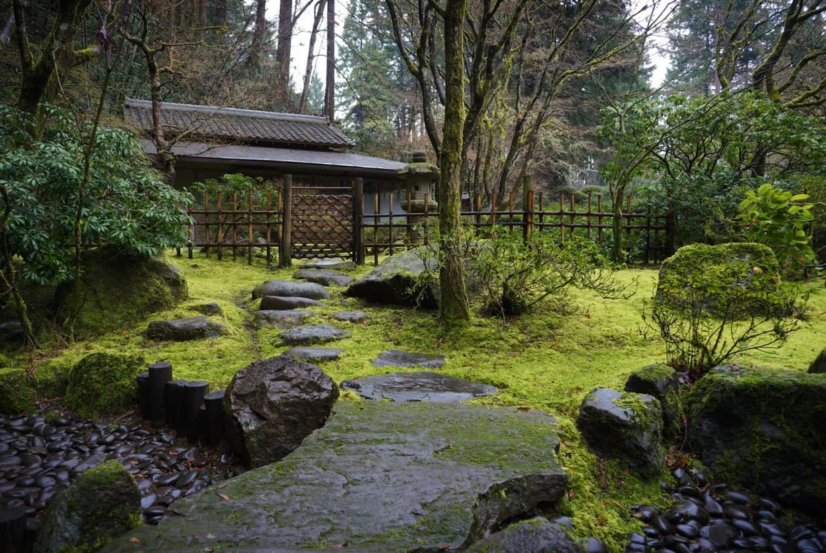 Tea House Viewed from Tea Garden after Rain. Photo by Tyler Quinn