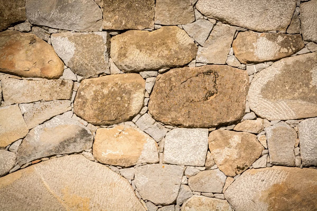 Castle Wall. Photo by Bruce Forster