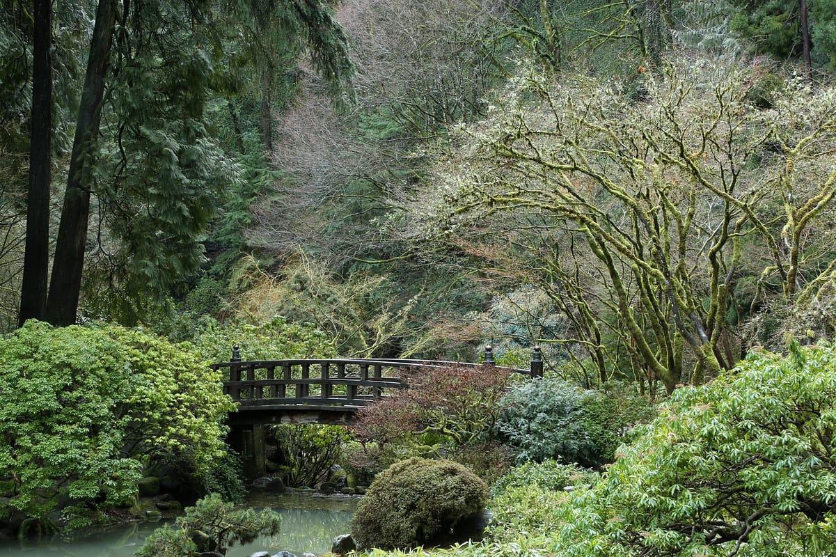 Portland Japanese GardenWinter 2017RayPfortner.com