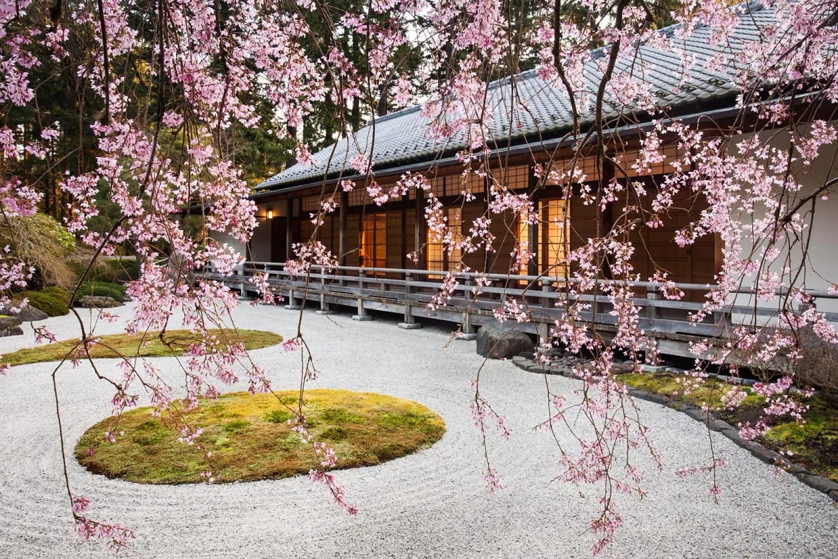 Flat-Garden-and-Pavilion-from-Beneath-the-Weeping-Cherry.-Photo-by-Joanthan-Ley-1