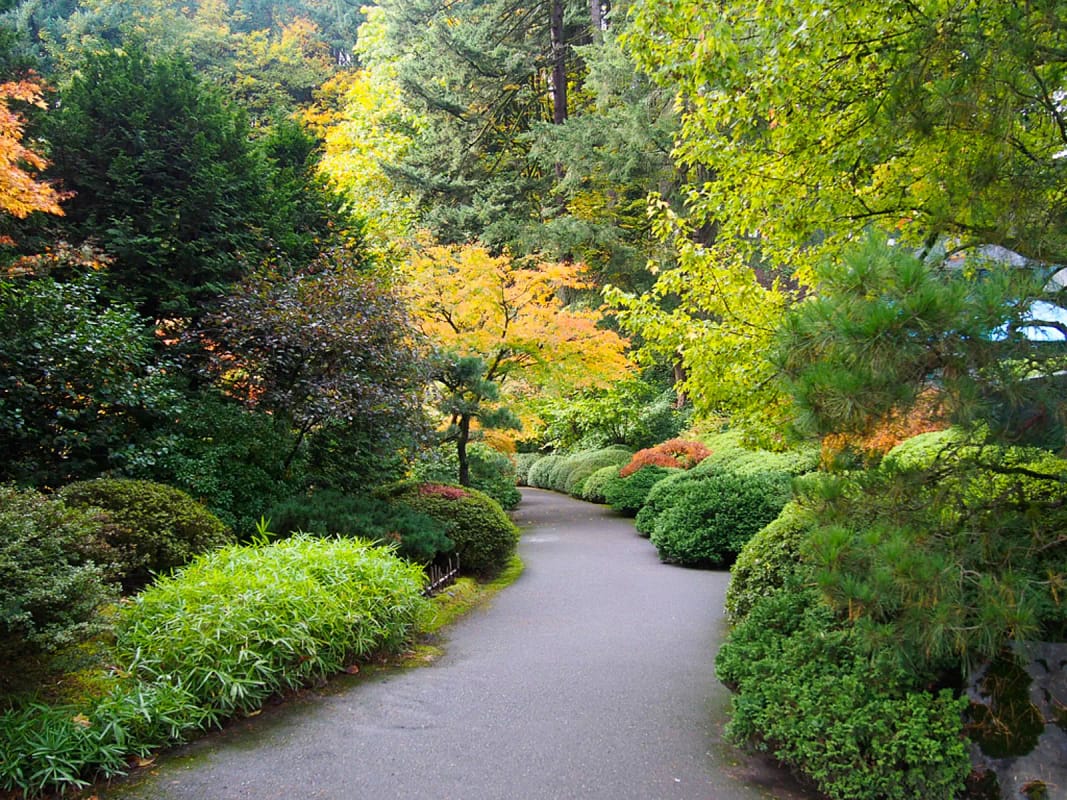 Strolling Pond Garden Fall