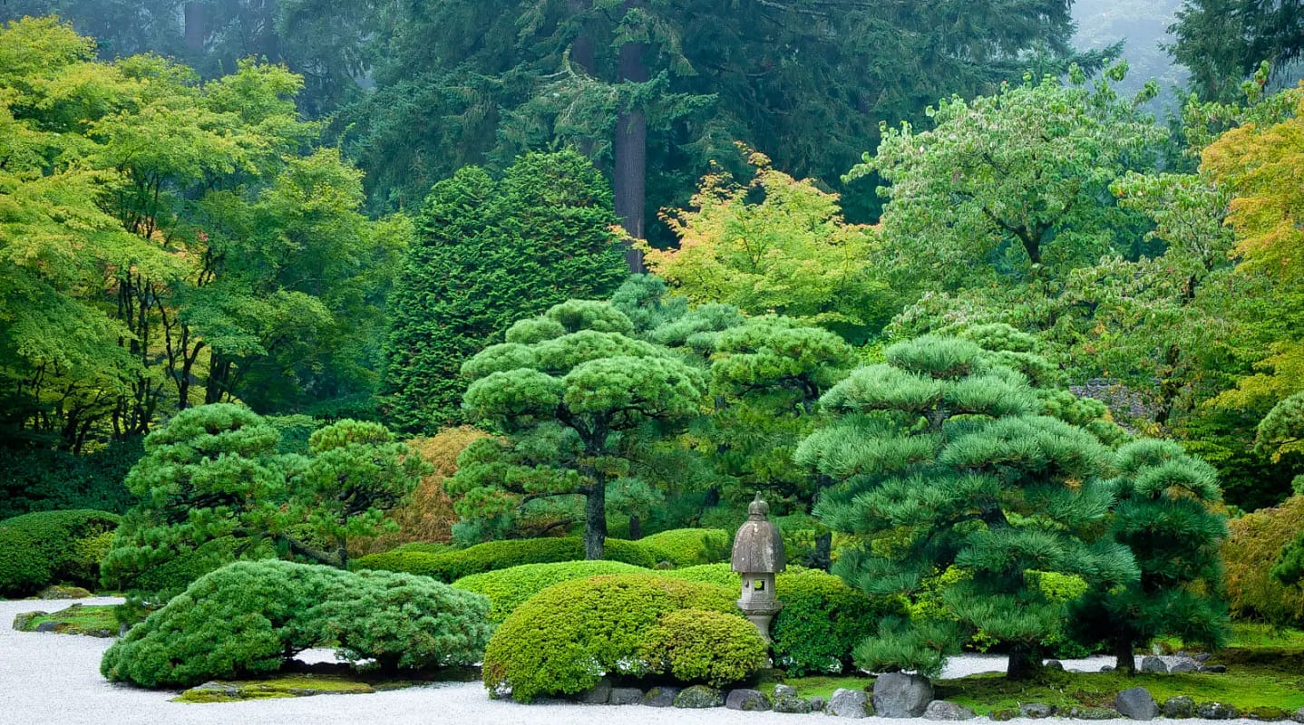 Flat Garden in Summer. Photo by Tony Small