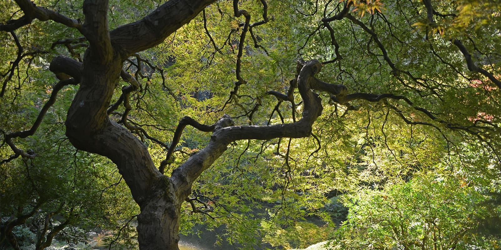 1.DSC_2240