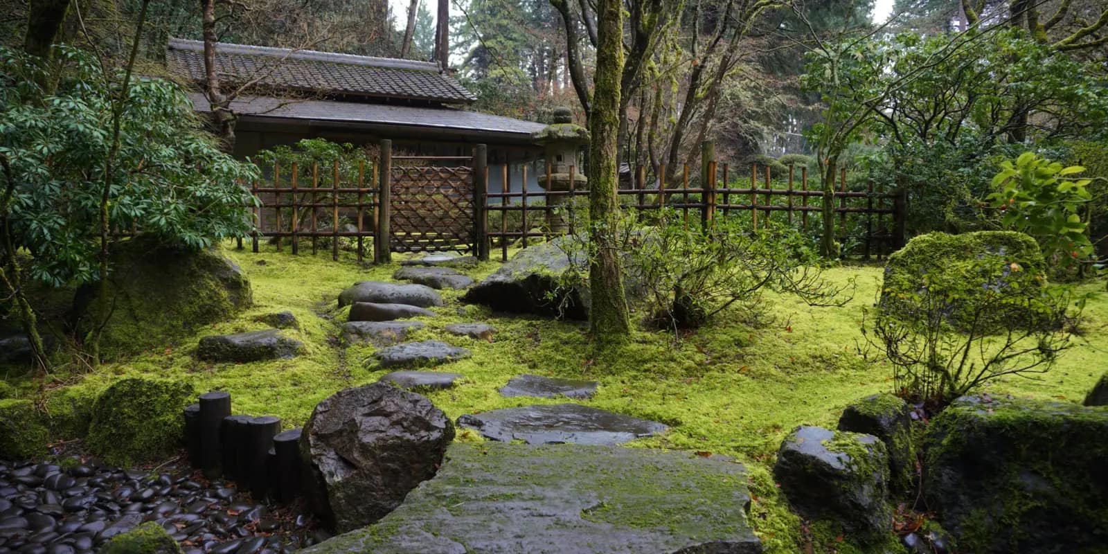 Tea House Viewed from Tea Garden after Rain. Photo by Tyler Quinn