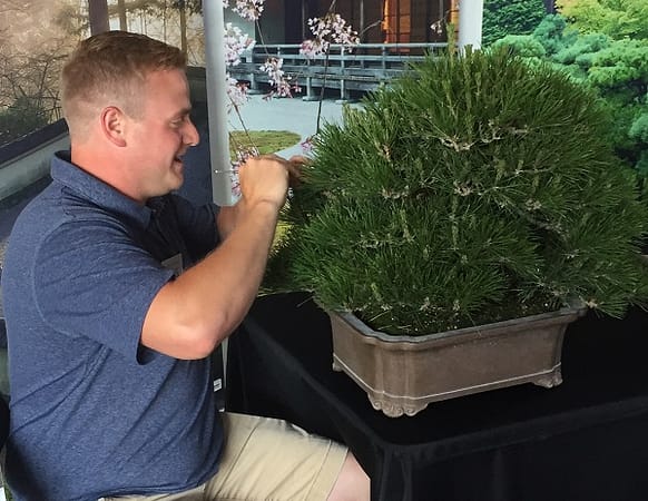 Andrew Robson demonstrating the art of bonsai