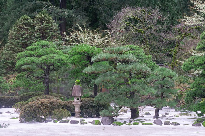 The Flat Garden of Portland Japanese Garden with snow on the ground.