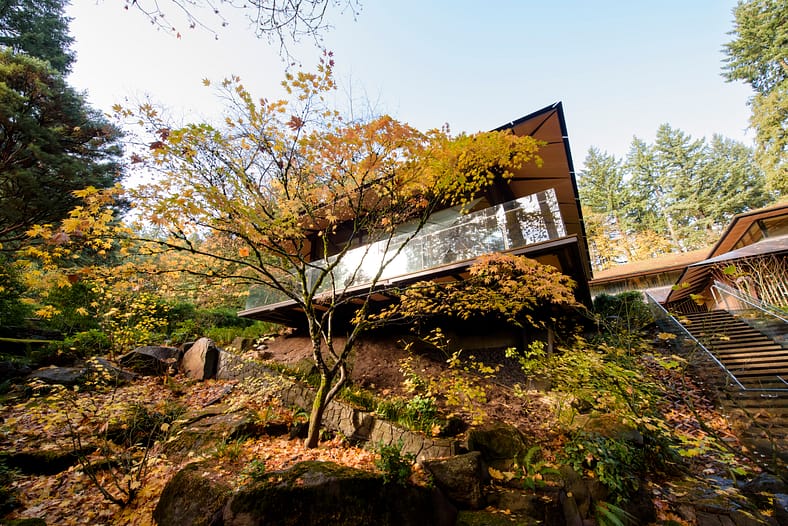 A view of the Umami Cafe in fall. Photo by Nina Johnson.