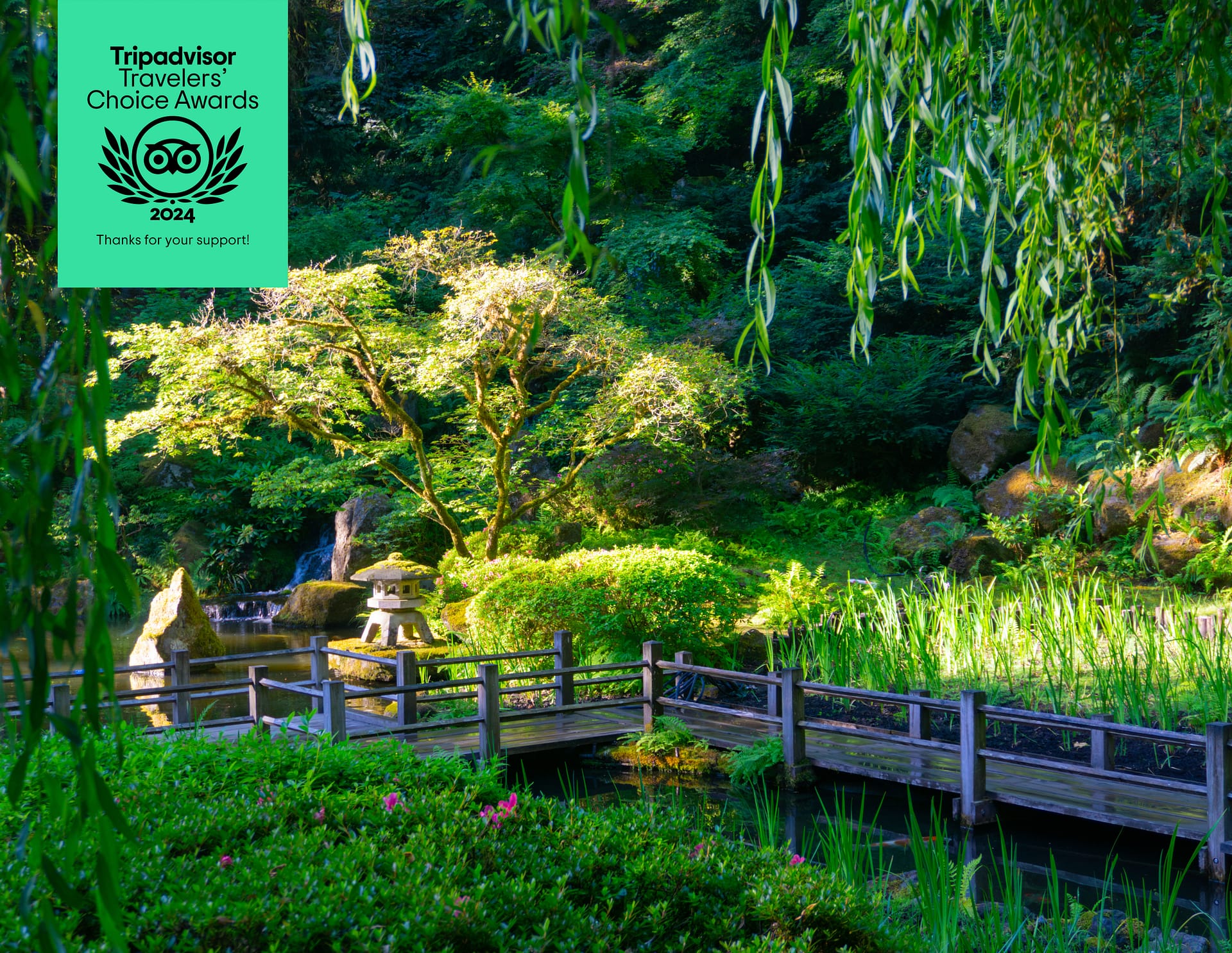 a wooden pathway through koi pond with the logo for Tripadvisor Travelers' Choice Awards in the top left corner