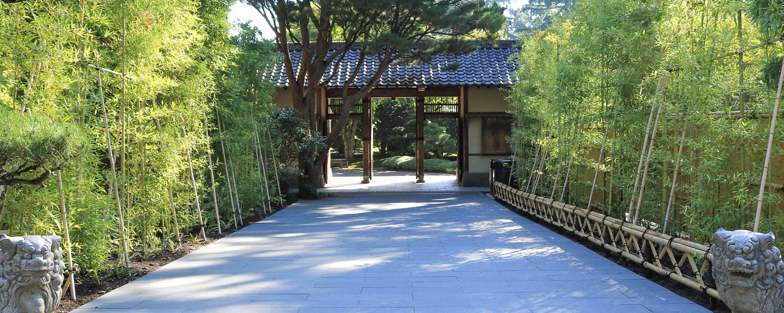 HR_PJG_Julia-Taylor_Fall-Colors-2017_IMG_0863-1