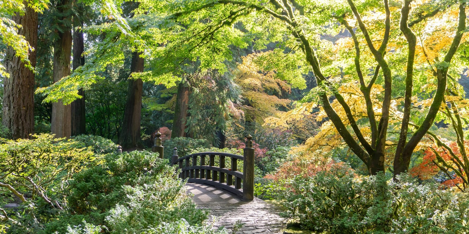 【 新品 】The Japanese Gardden Japanese Gardens | 2025 12 x 24 Inch Monthly Square Wall
