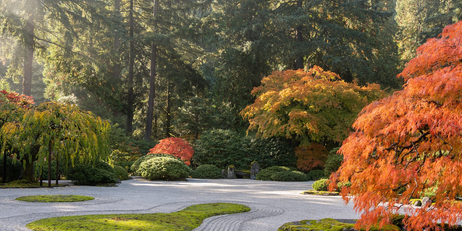 2025_10_29_Fall_PhotoByPJG-22