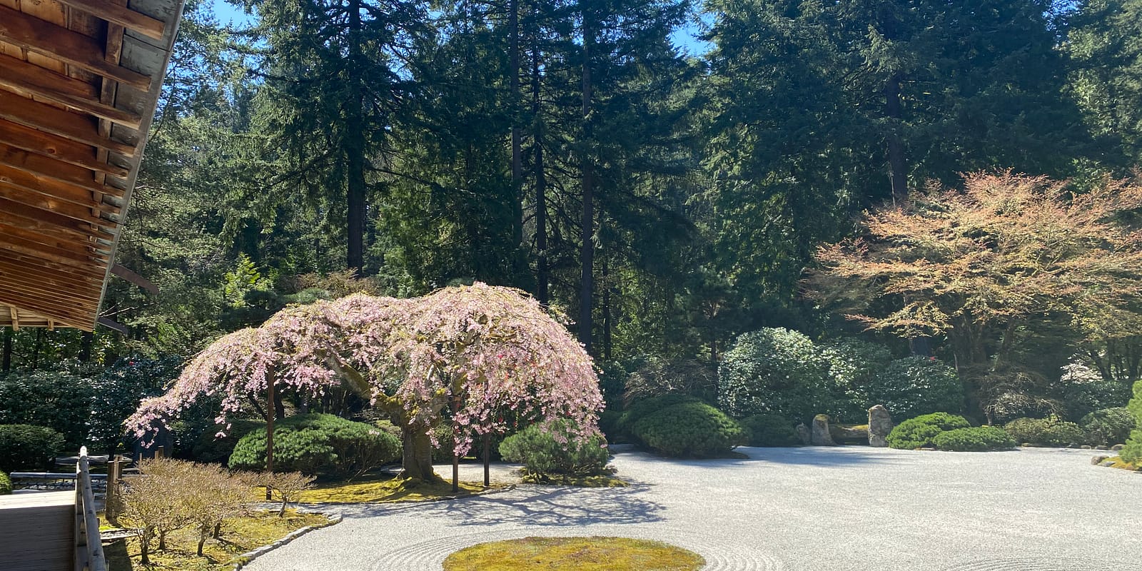 Photo Apr 13, 12 23 05 PM