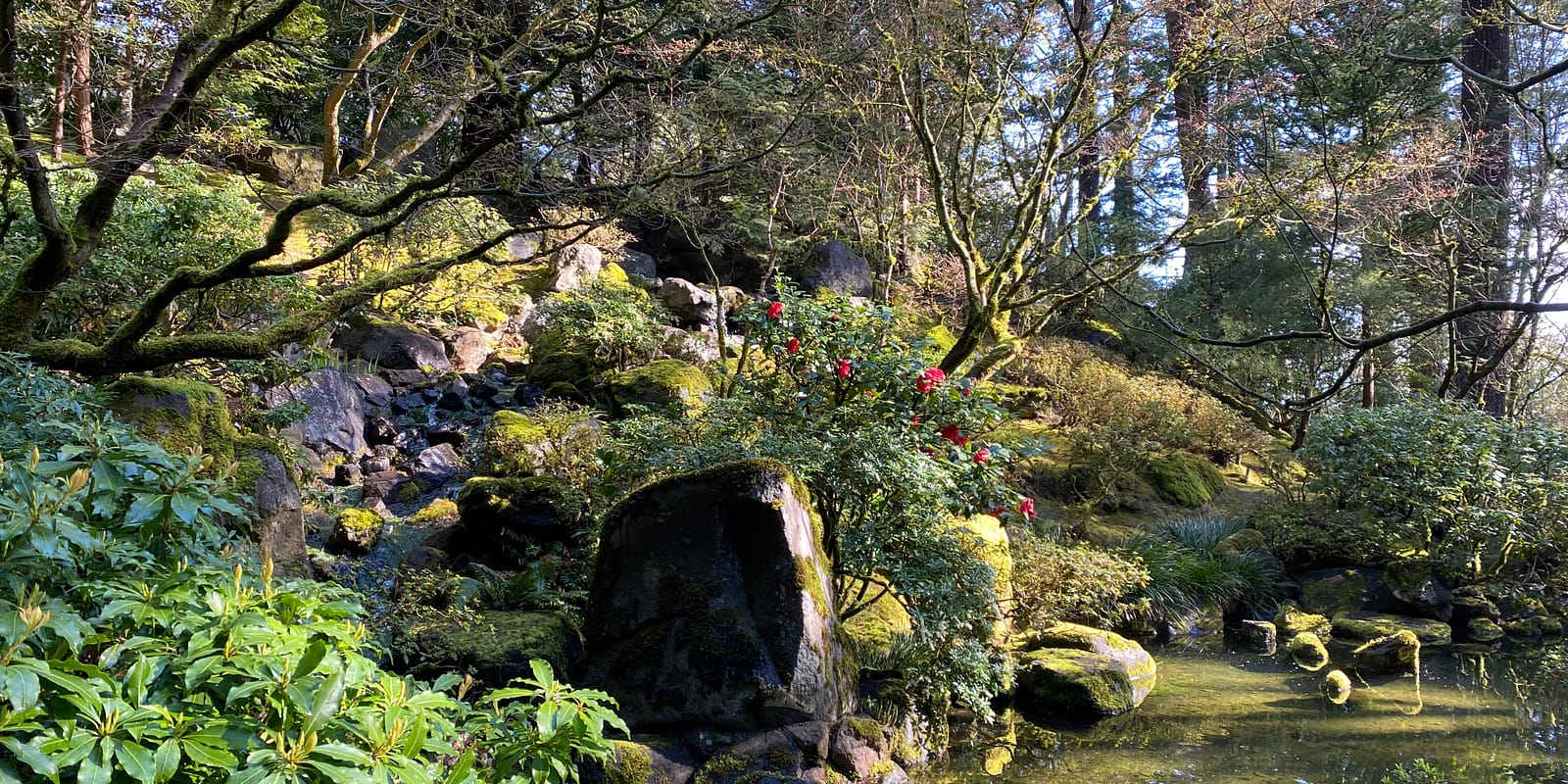 Photo Apr 08, 9 46 46 AM