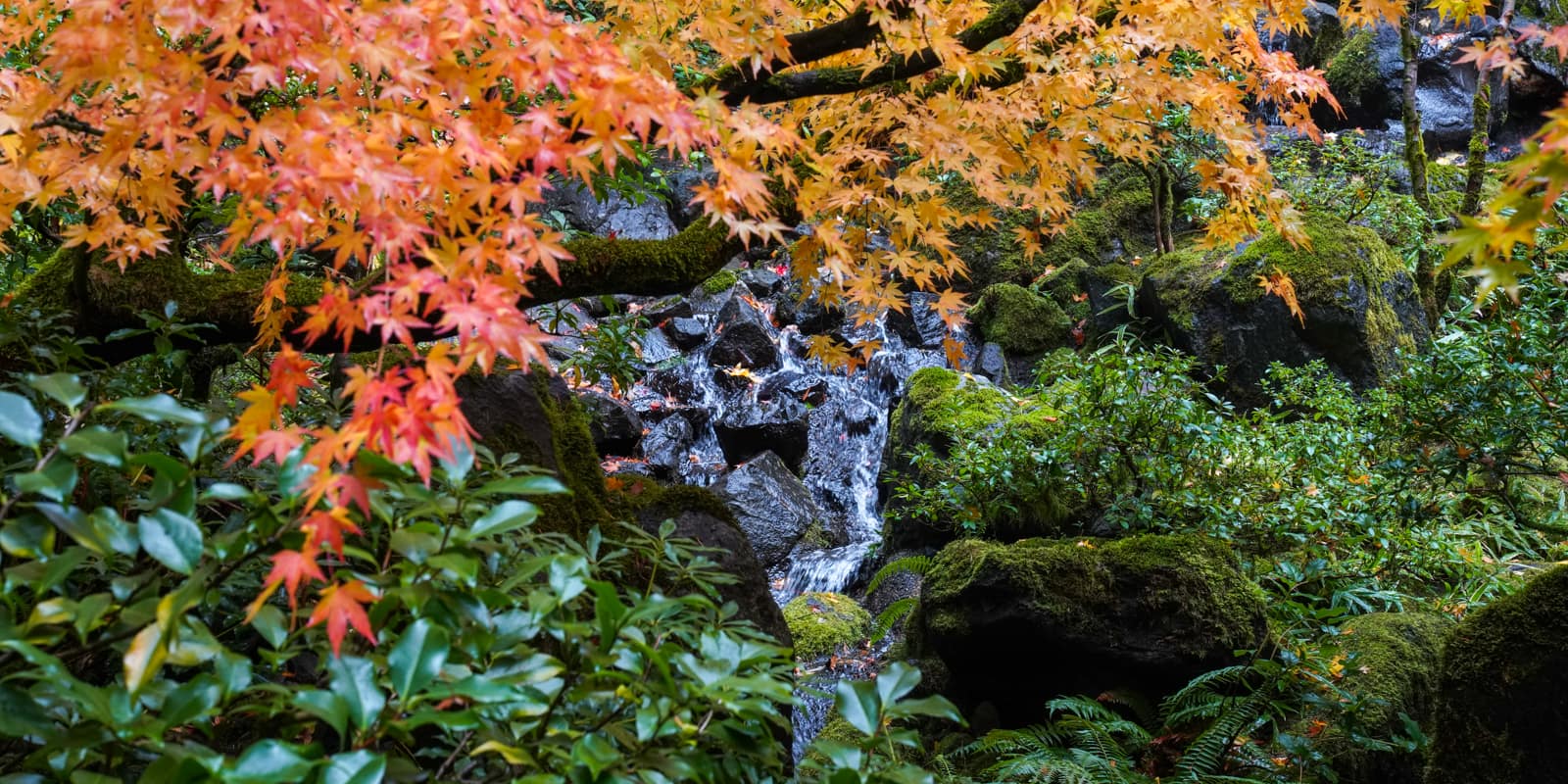 Fall Colors HD-20191022- by Chris Ruggles-27