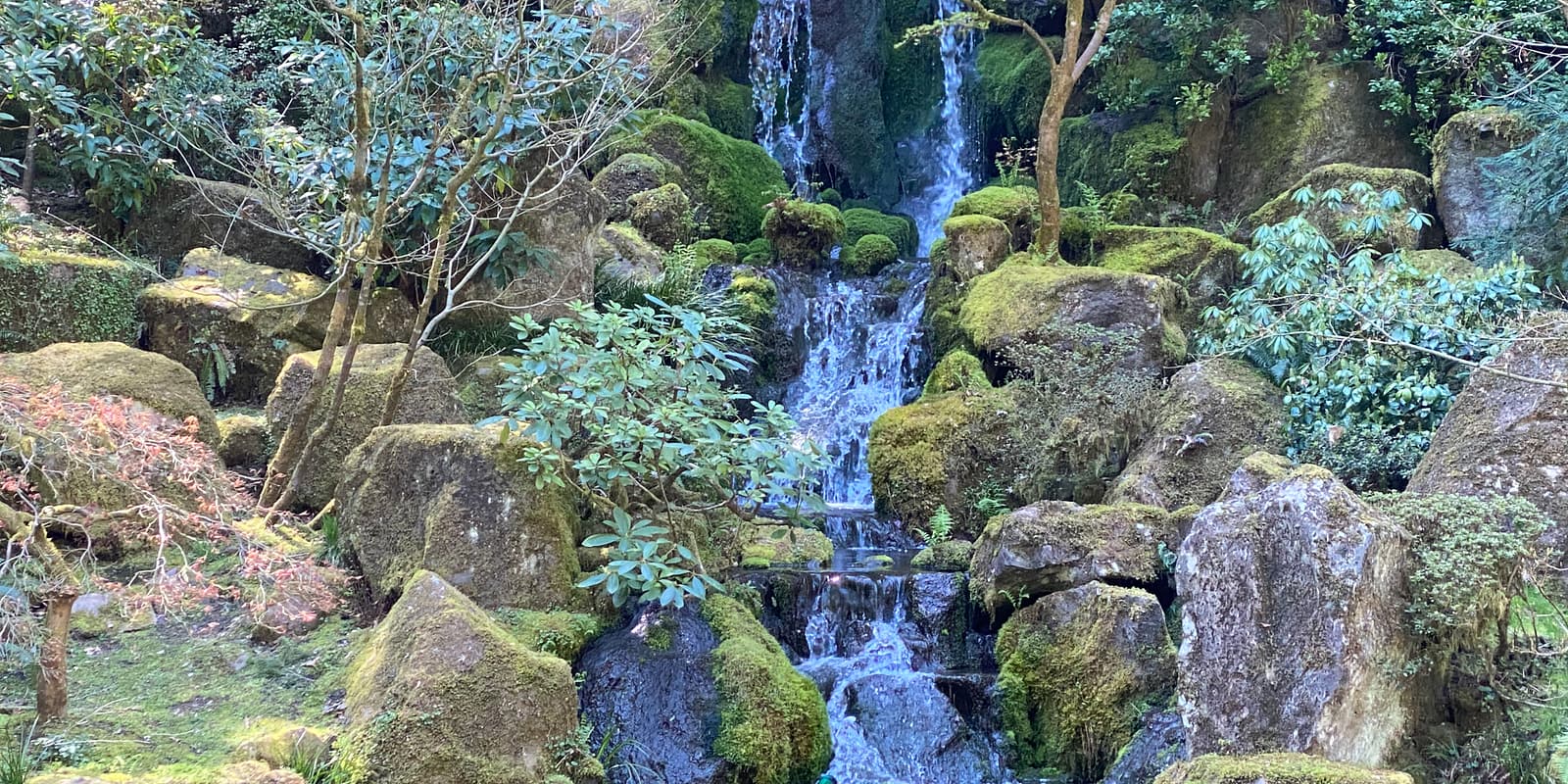 Photo Apr 13, 12 28 53 PM