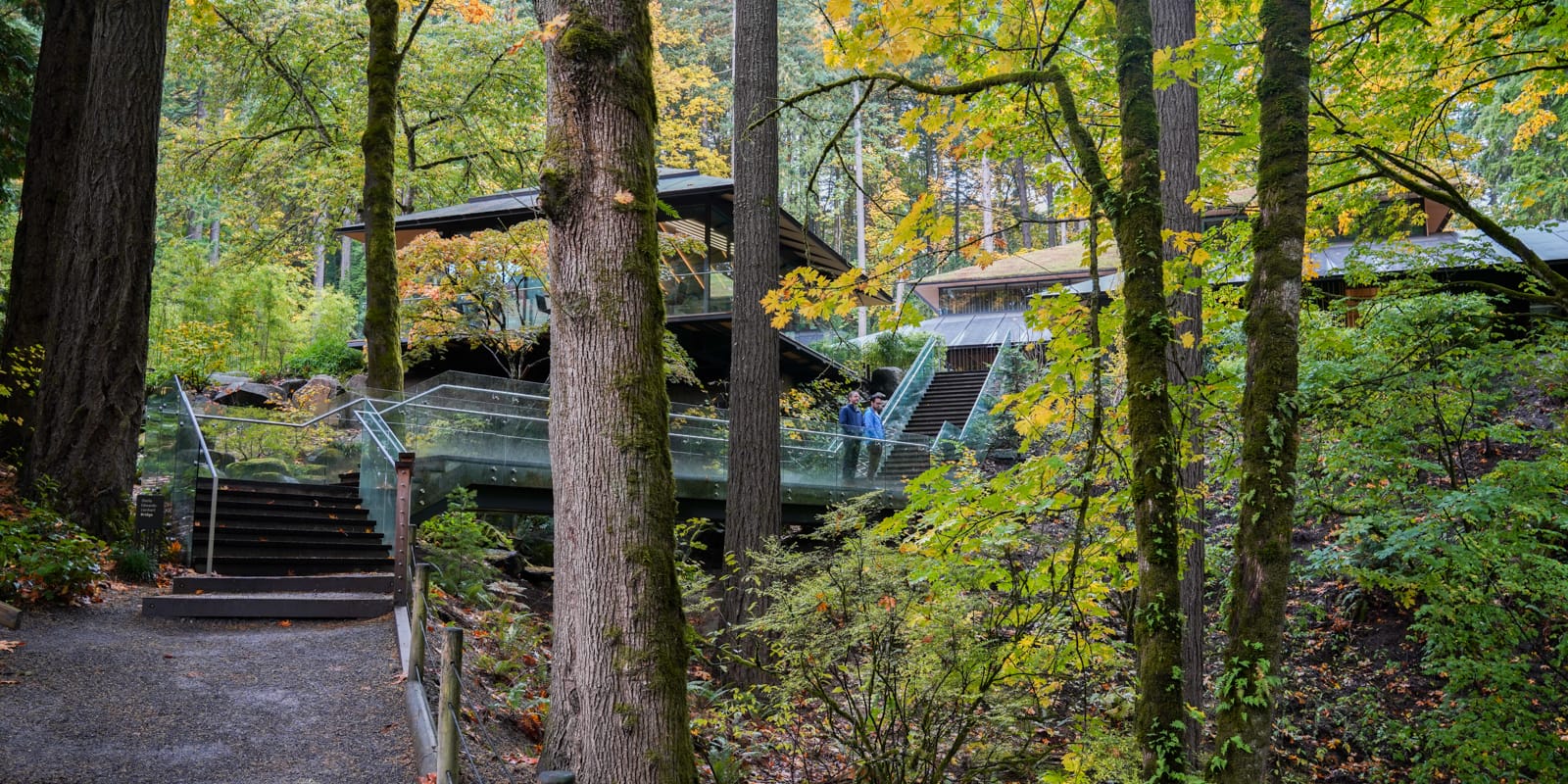 Fall Colors HD-20191022- by Chris Ruggles-4