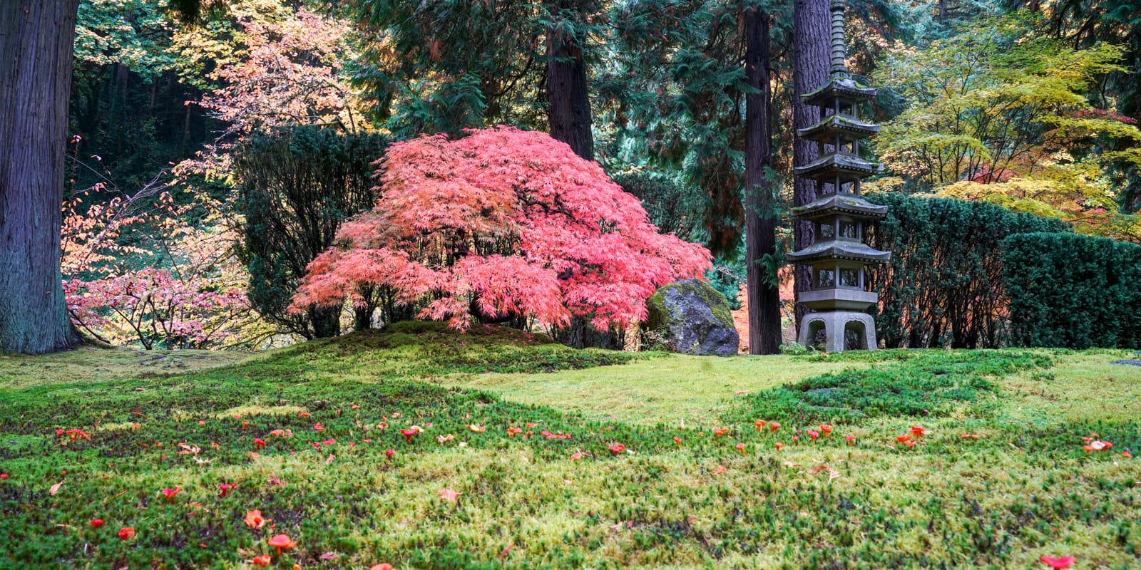 Fall Colors HD-20191022- by Chris Ruggles-13