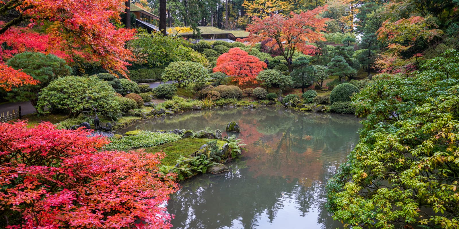 Fall Colors HD-20191022- by Chris Ruggles-10