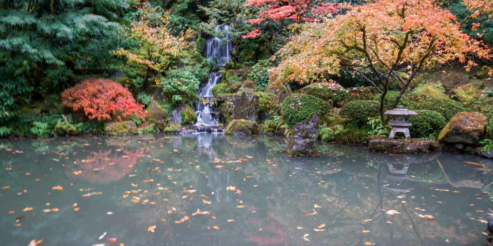 Fall Colors HD-20191022- by Chris Ruggles-21