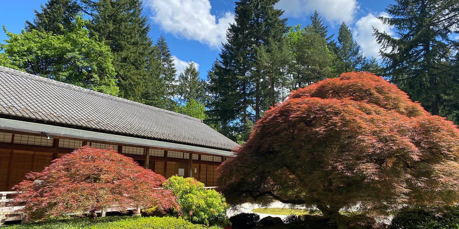 Photo May 07, 3 02 39 PM