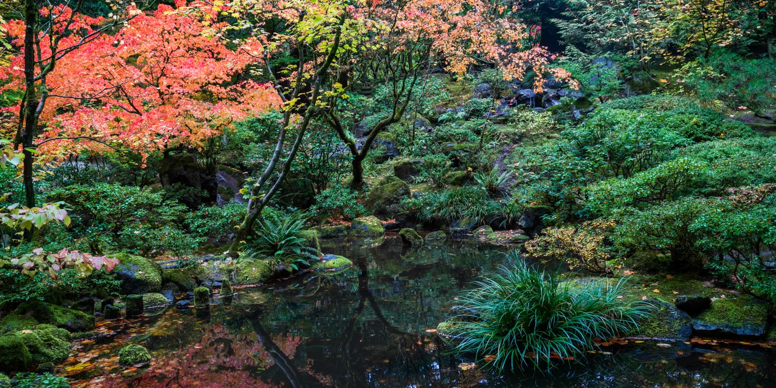 Fall Colors HD-20191022- by Chris Ruggles-28