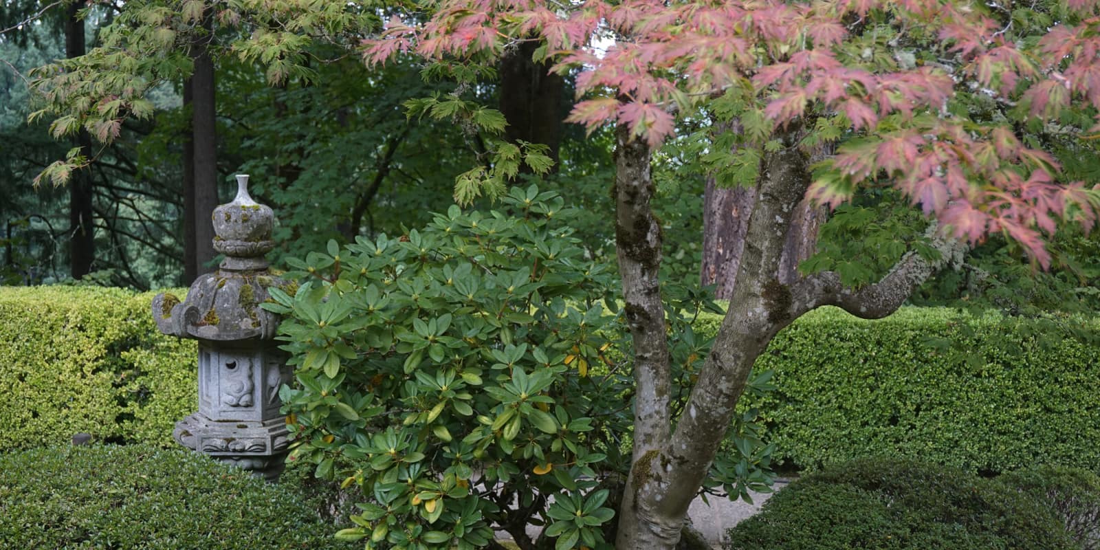 Late September Color Update by Tyler Quinn - 2017-09-25 - DSC06518