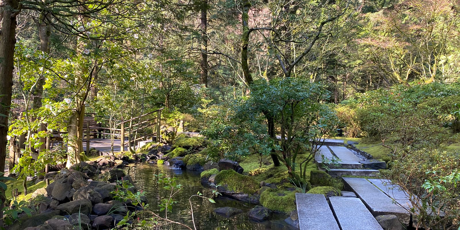 Photo Apr 08, 9 47 46 AM (1)