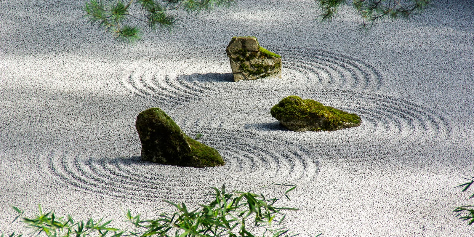 Donna Blocher - 17-02-02 - DBlocher_spring_IGP2422_original (1) websize