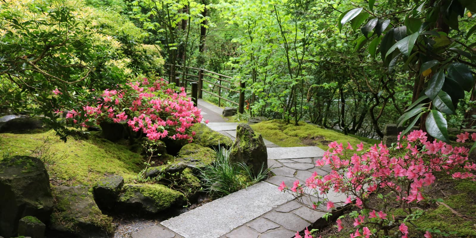 Julia Taylor_May 2017_IMG_6034