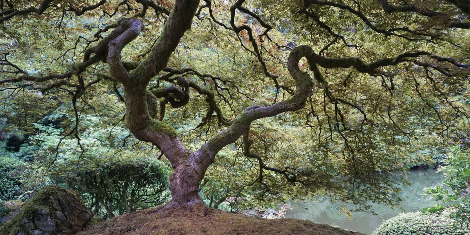 Late September Color Update by Tyler Quinn - 2017-09-25 - DSC06475