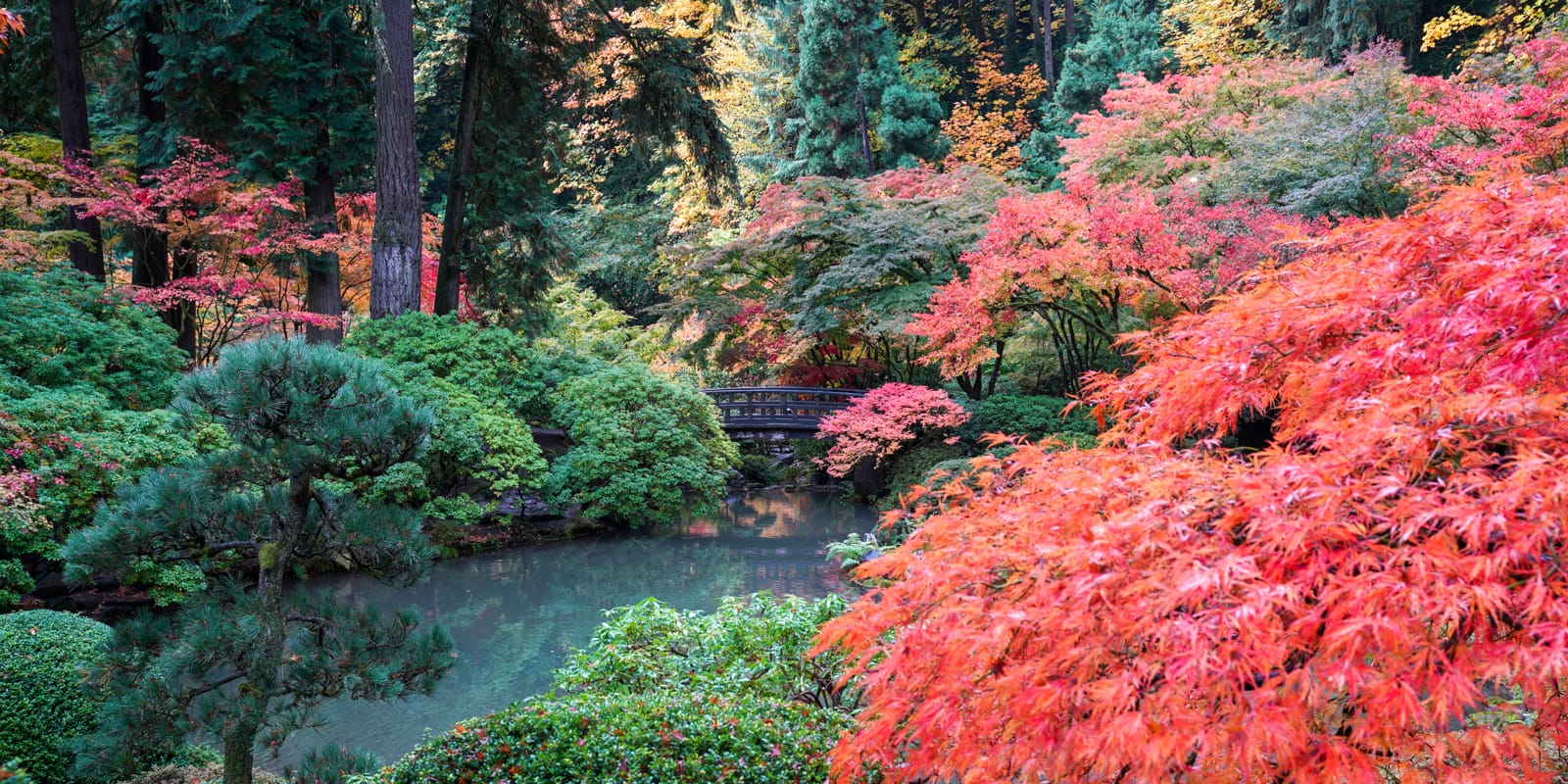 Fall Colors HD-20191022- by Chris Ruggles-5