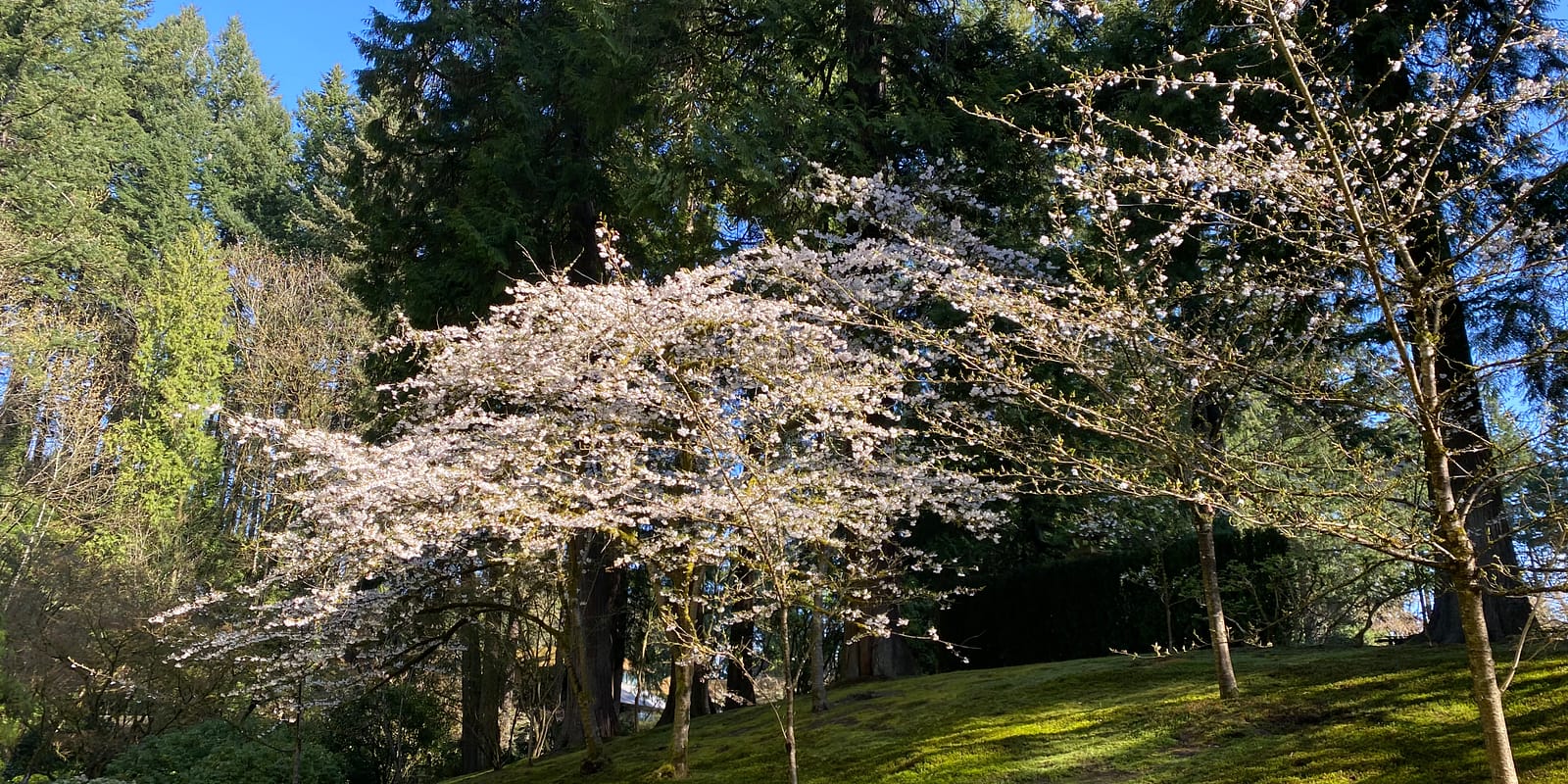 Photo Apr 08, 9 45 29 AM (1)