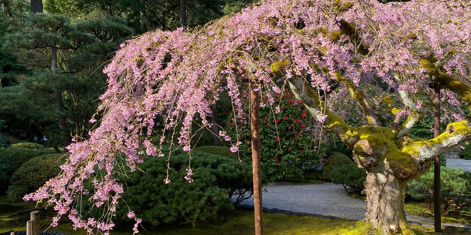 Photo Apr 08, 9 29 02 AM