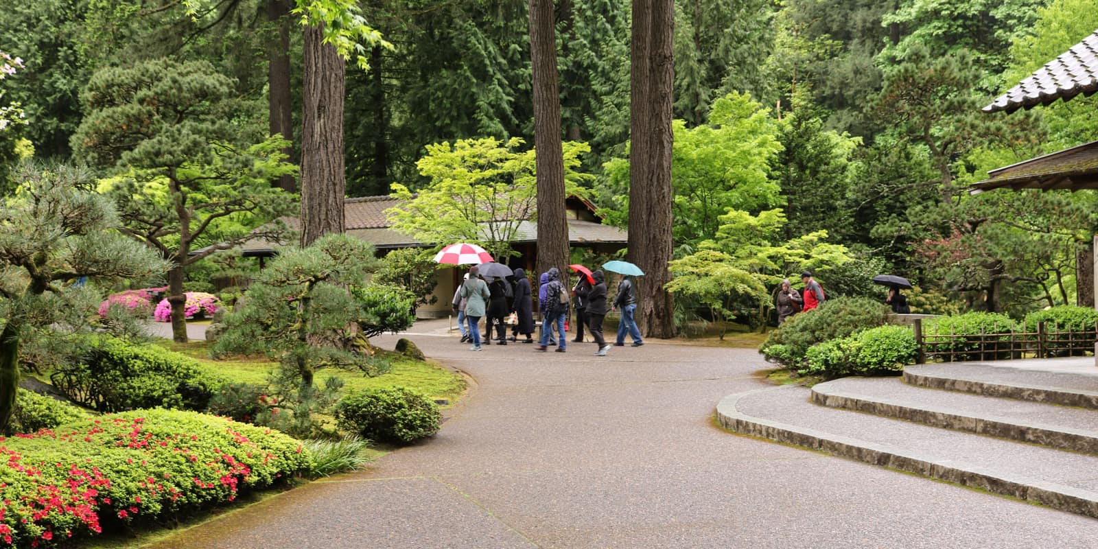 Julia Taylor_May 2017_IMG_6069