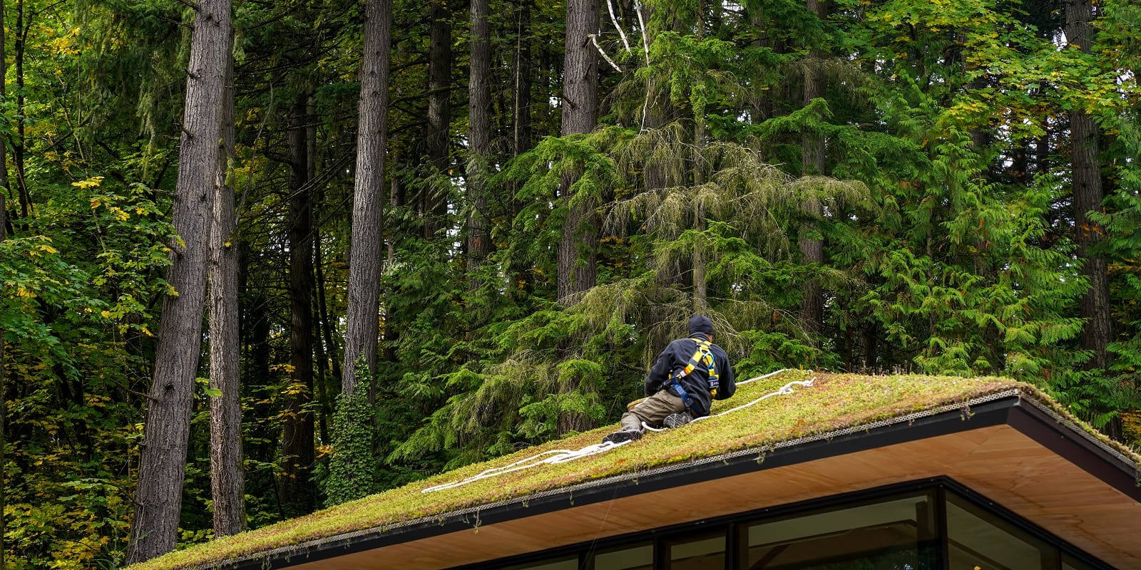 Ecoroof-20191015- by Chris Ruggles-1