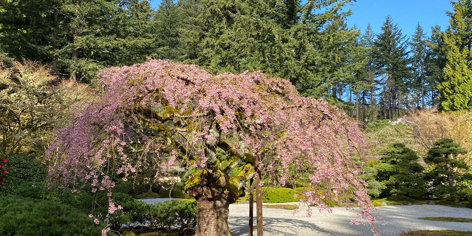 Photo Apr 08, 9 27 46 AM