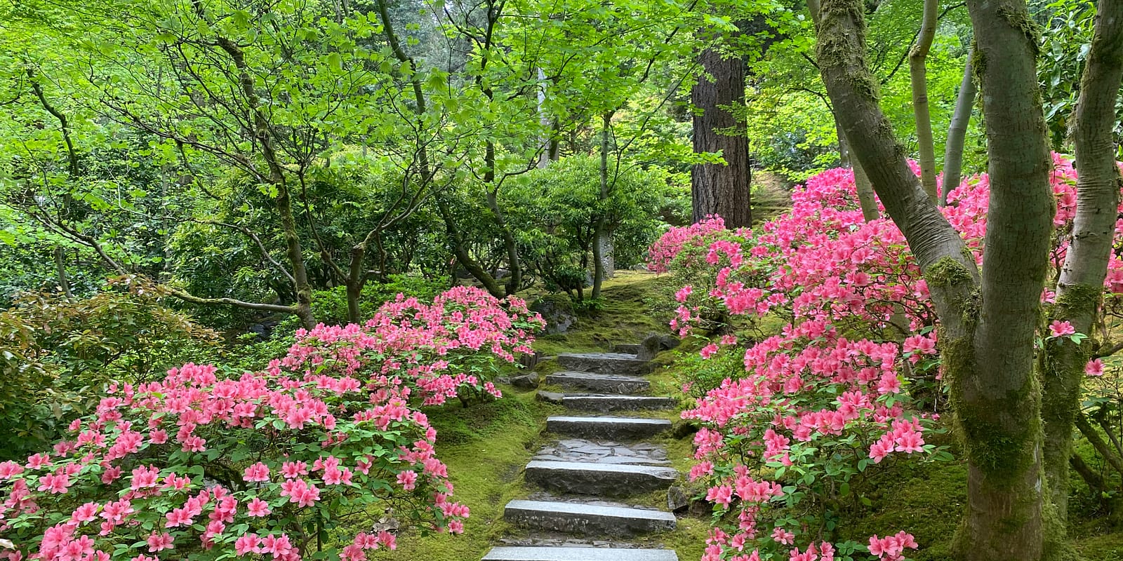 Photo May 05, 2 38 14 PM