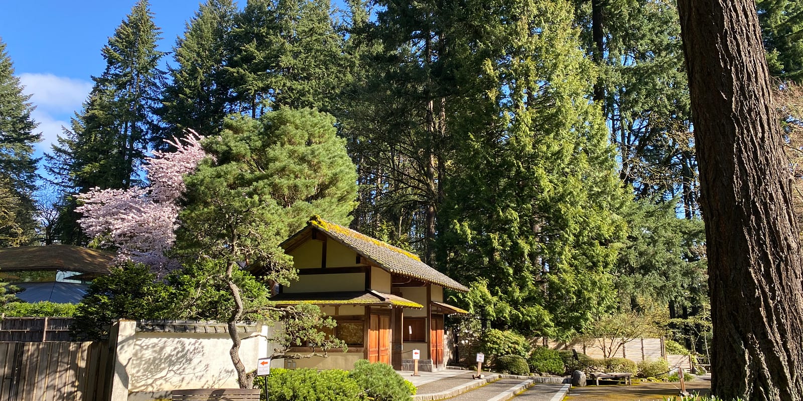 Photo Apr 08, 9 51 35 AM (1)