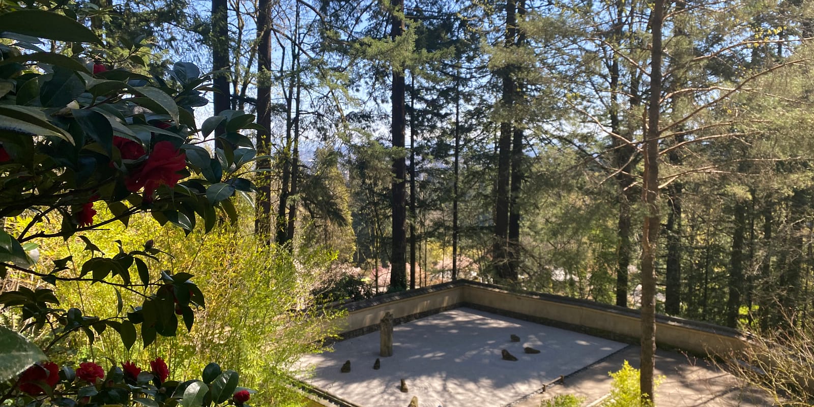 Photo Apr 13, 12 25 45 PM