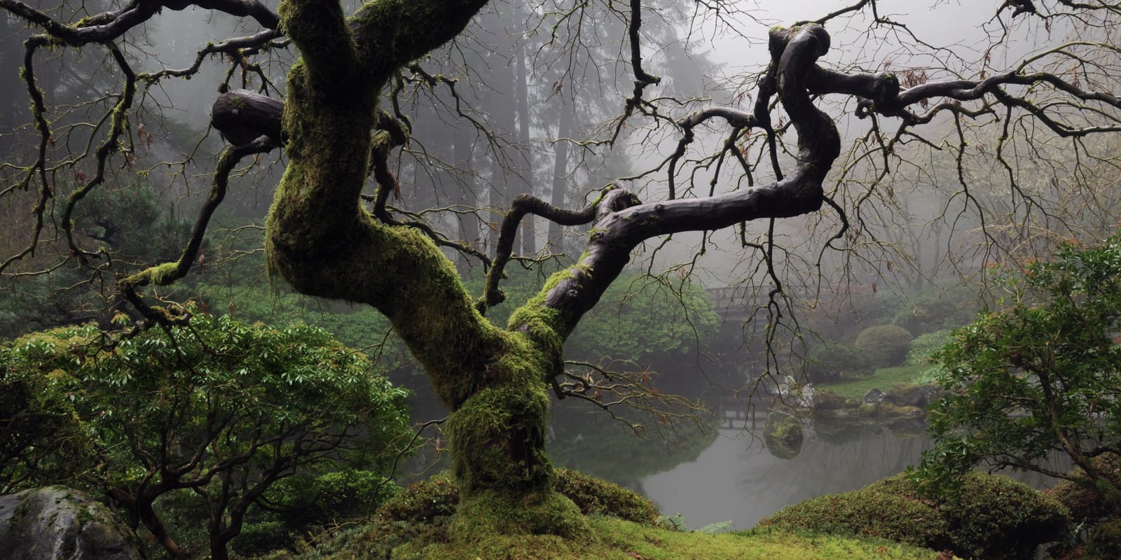 Mike Bentley 2015 Calendar Entries - 2013-01-16 - 15387_523efe6732b4202