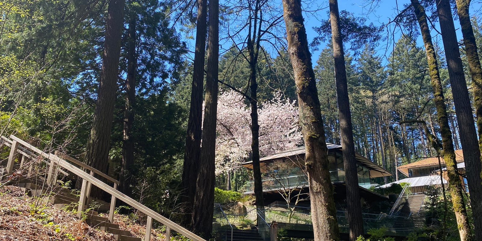 Photo Apr 13, 12 17 03 PM