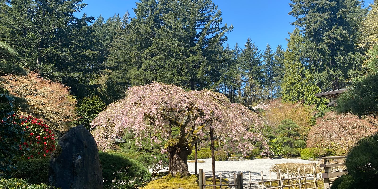 Photo Apr 13, 12 25 27 PM