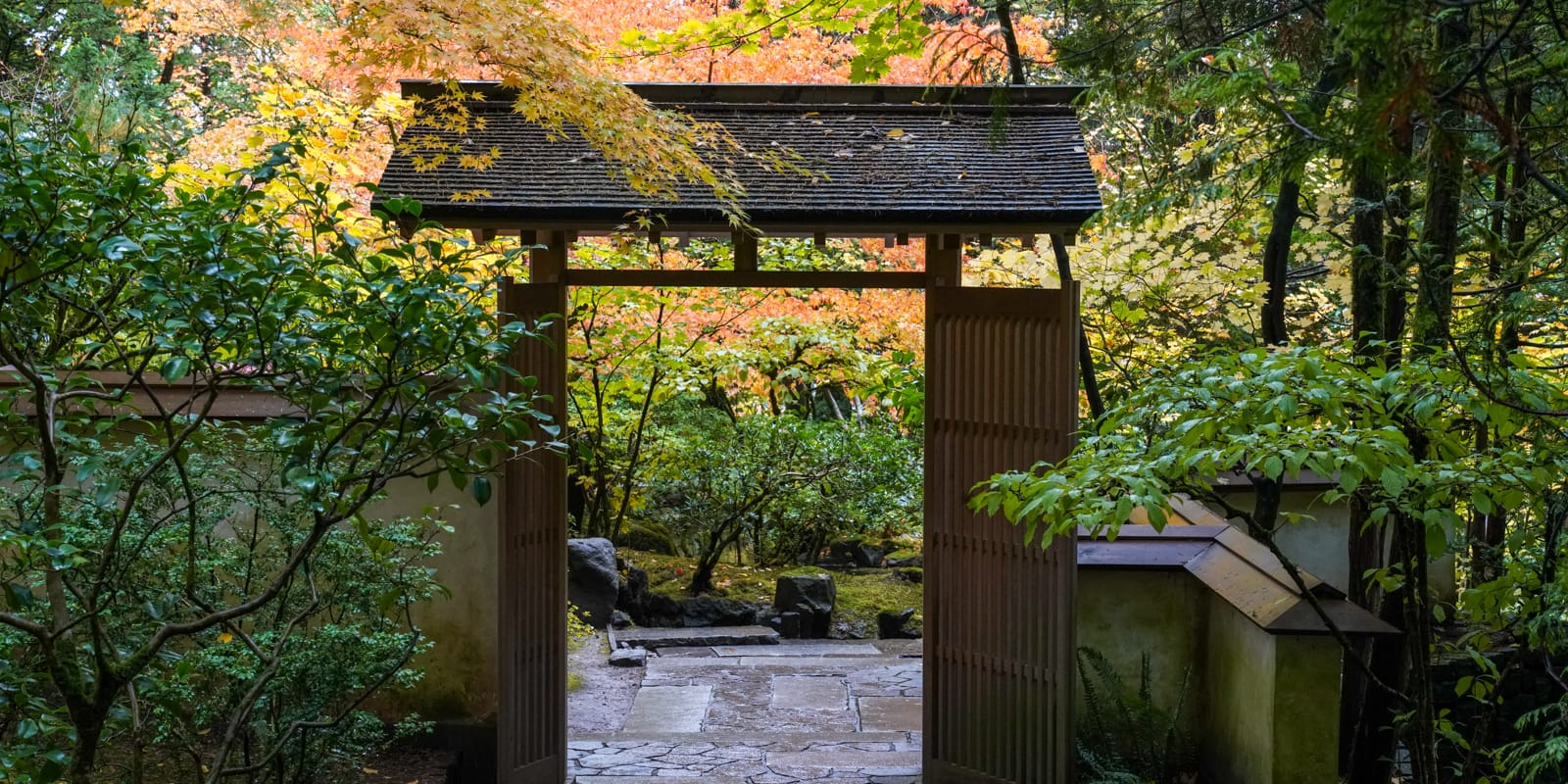Fall Colors HD-20191022- by Chris Ruggles-24