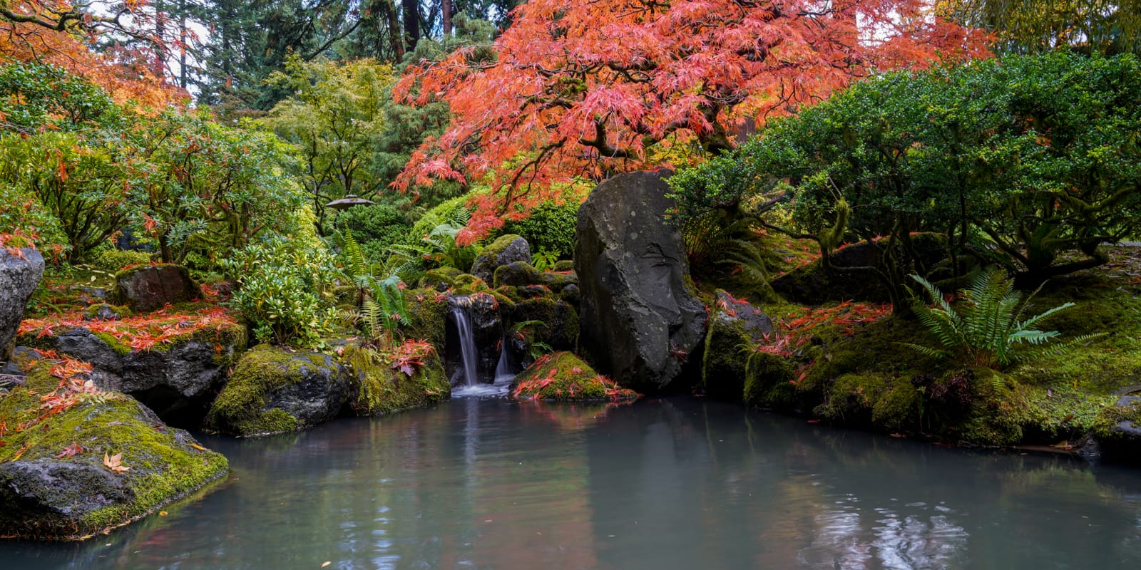 Fall Colors HD-20191022- by Chris Ruggles-19